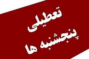توضیحات دبیر هیئت دولت در رابطه با تعطیلی پنجشنبه‌ها/ ویدئو 