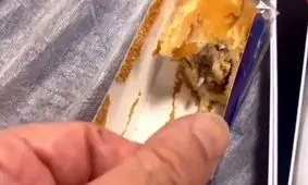 کشف شیشه و تیغه فلزی در کیک/ ویدئو