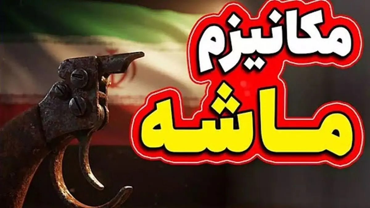  کارشناس صدا و سیما: خوشحالم که مکانیزم ماشه اکنون اجرا می‌شود/ چرا از اول انقلاب در اکثر مذاکراتی که داشتیم سرمان کلاه رفته است؟/ باید کسانی که این مذاکرات را انجام دادند بازخواست شوند/ ویدئو