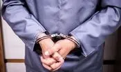 پلیس: ۳۵ نفر از عناصر مزدور وطن فروش در ۹ استان دستگیر شدند