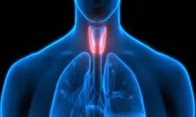 افراد مبتلا به کم کاری تیروئید چه رژیم غذایی باید داشته باشند؟