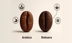 قهوه روبوستا بهتر است یا عربیکا؟