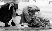 عکس‌های 70 ساله از شستن قالی در چشمه‌علی شهرری 