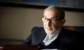 واکنش ولایتی به ادعای برخی حکومت‌ها درباره طرح دالان زنگزور

