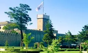 هیچ گروه تروریستی در افغانستان حضور ندارد