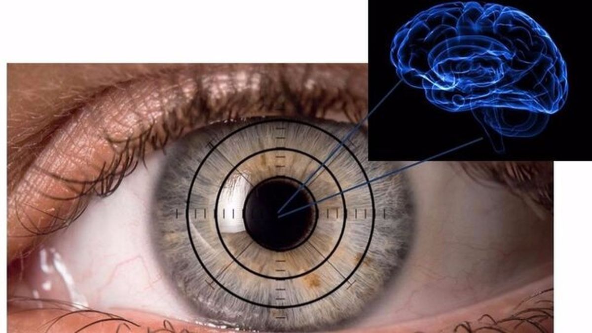  هشدار زودهنگام ابتلا به آلزایمر در چشم نمایان شد 