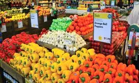 ارزآوری ۳.۴ میلیارد دلاری صادرات محصولات کشاورزی و غذا در ۸ ماهه سال جاری