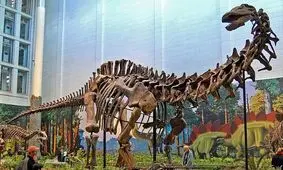 تشخیص عفونت تنفسی در دایناسور ۱۵۰ میلیون ساله؛ «دالی تب داشت و سرفه می‌کرد»