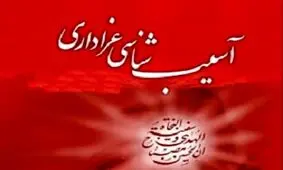 نایب رئیس کانون مداحان: برخی مداحان به اسم نوآوری اگزوزی‌خوان شدند