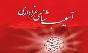 نایب رئیس کانون مداحان: برخی مداحان به اسم نوآوری اگزوزی‌خوان شدند