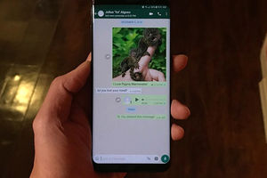 قابلیت جدید واتس‌اپ: ارسال تصاویر با کیفیت HD