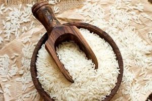 کشور به واردات محدود برنج، نیاز دارد