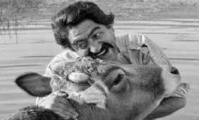 داستان خلق شاهکار مهرجویی - ساعدی/ چگونه فیلم گاو توانست در سینمای ایران انقلاب ایجاد کند؟