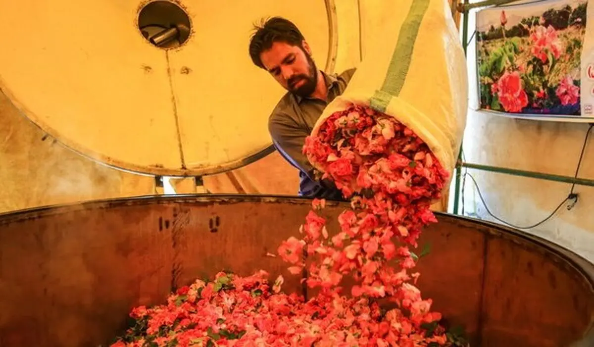 پرونده جهانی گلاب‌گیری کاشان به یونسکو ارسال شد

