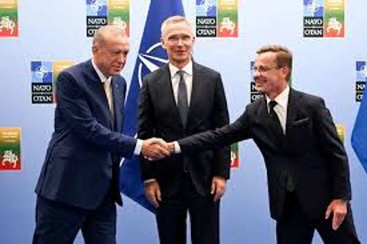 ترکیه مجبور بود پیوستن سوئد به ناتو را بپذیرد/ اردوغان طرفدار اوکراین است