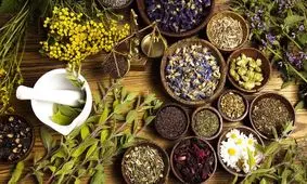 چگونه داروهای گیاهی را ایمن مصرف کنیم؟/ ویدئو