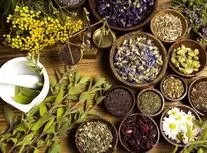 چگونه داروهای گیاهی را ایمن مصرف کنیم؟/ ویدئو