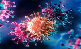 ورود تعدادی از اتباع آفریقای جنوبی به استان خوزستان بر خلاف ممنوعیت اعلام شد