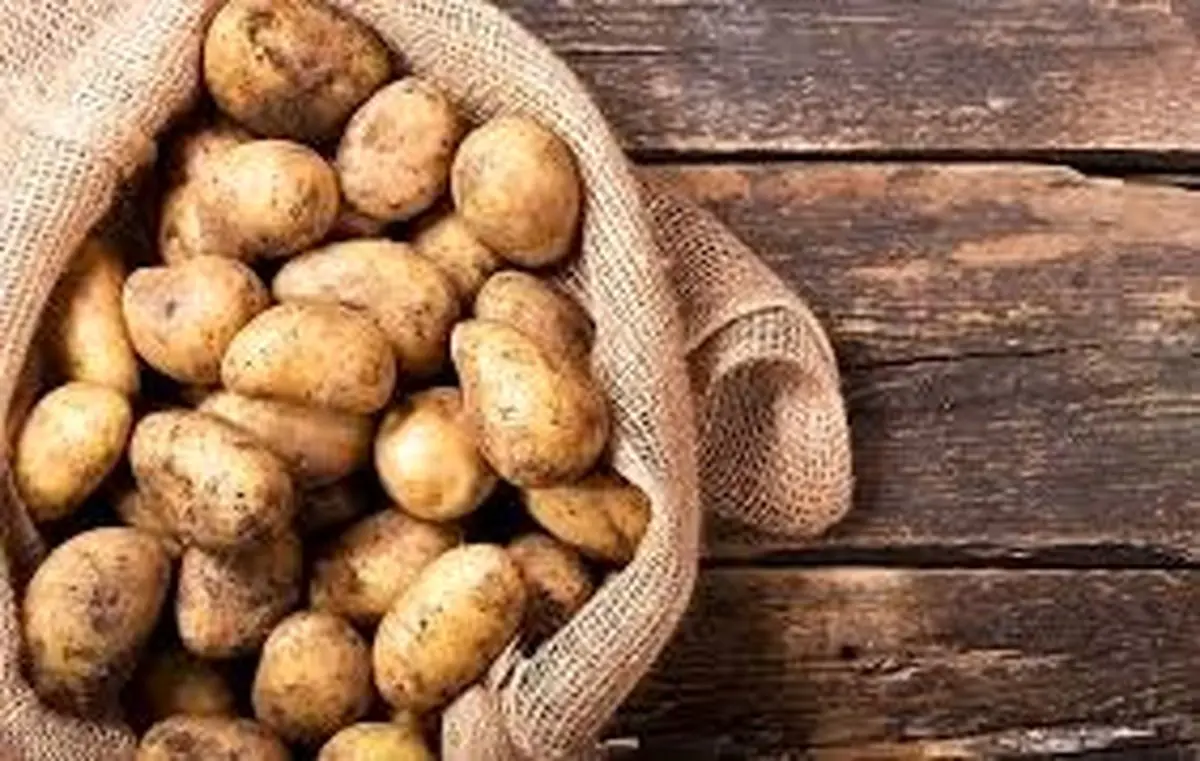 اقدام جالب در ملایر: سیب‌زمینی رایگان در زمان جنگ