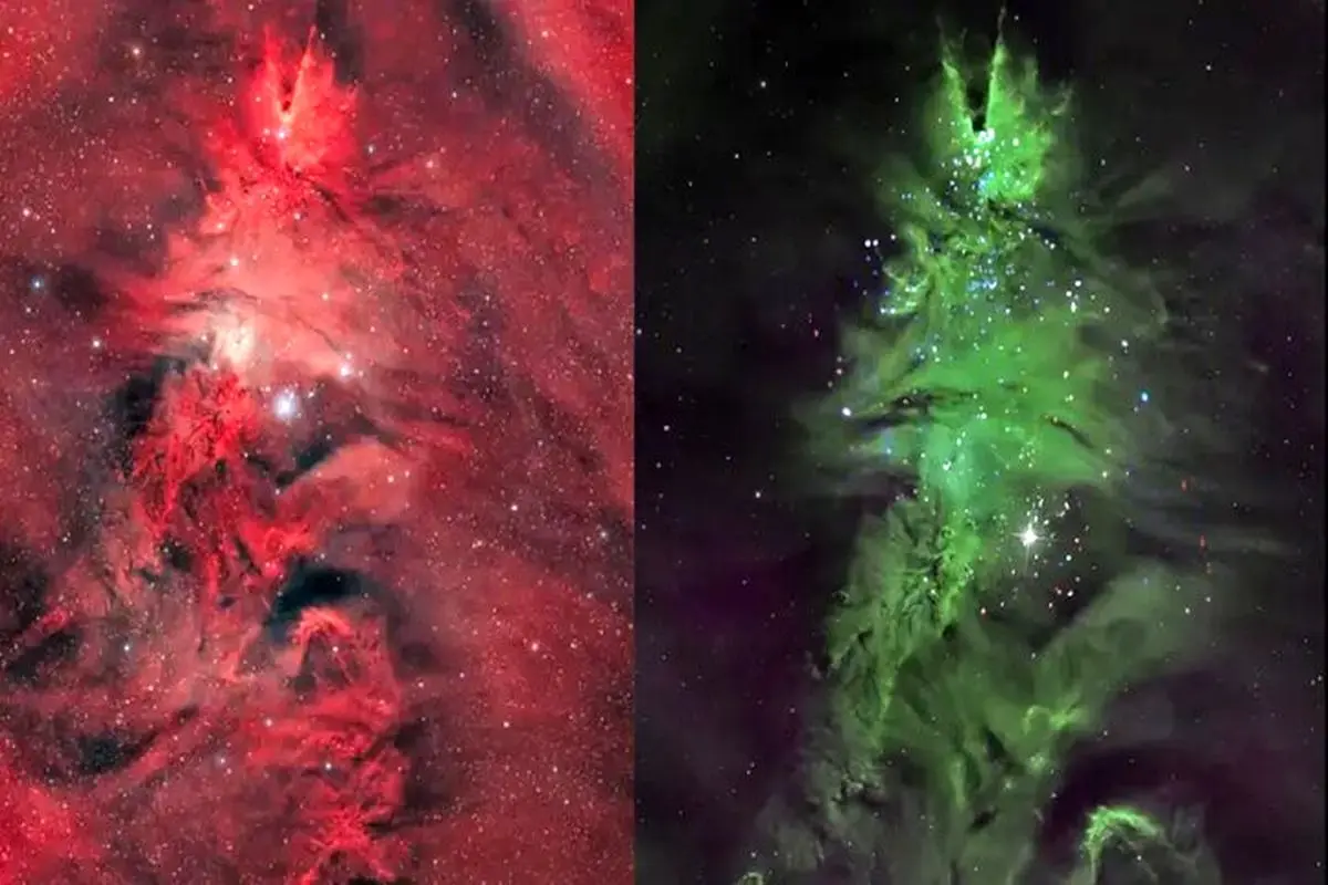 درخشش درخت کریسمس در دل فضا

