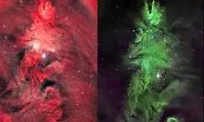 درخشش درخت کریسمس در دل فضا

