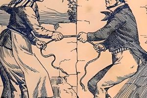 تست هوش/ با تمرکز و قدرت هوشی دو حیوان موجود در تصویر را پیدا کنید