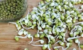 بمب ویتامین و پروتئین را بشناسید