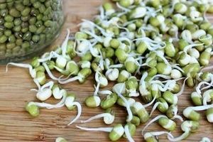 بمب ویتامین و پروتئین را بشناسید