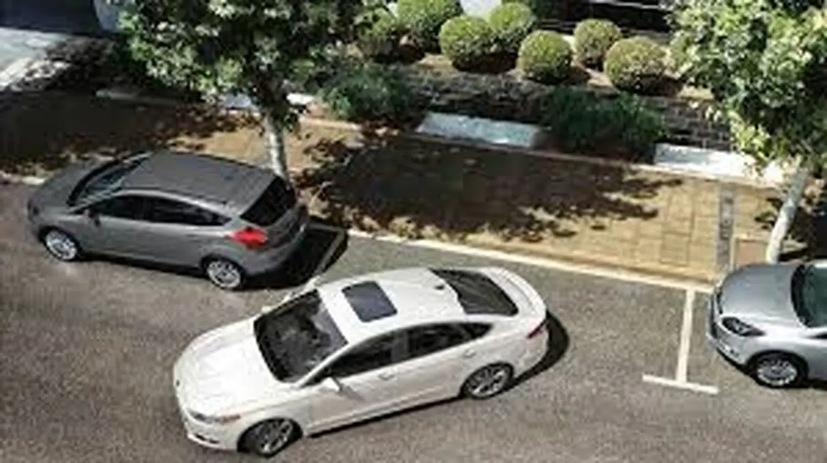 دردسرهای پارک دوبل زدن خانم ها/ ویدئو