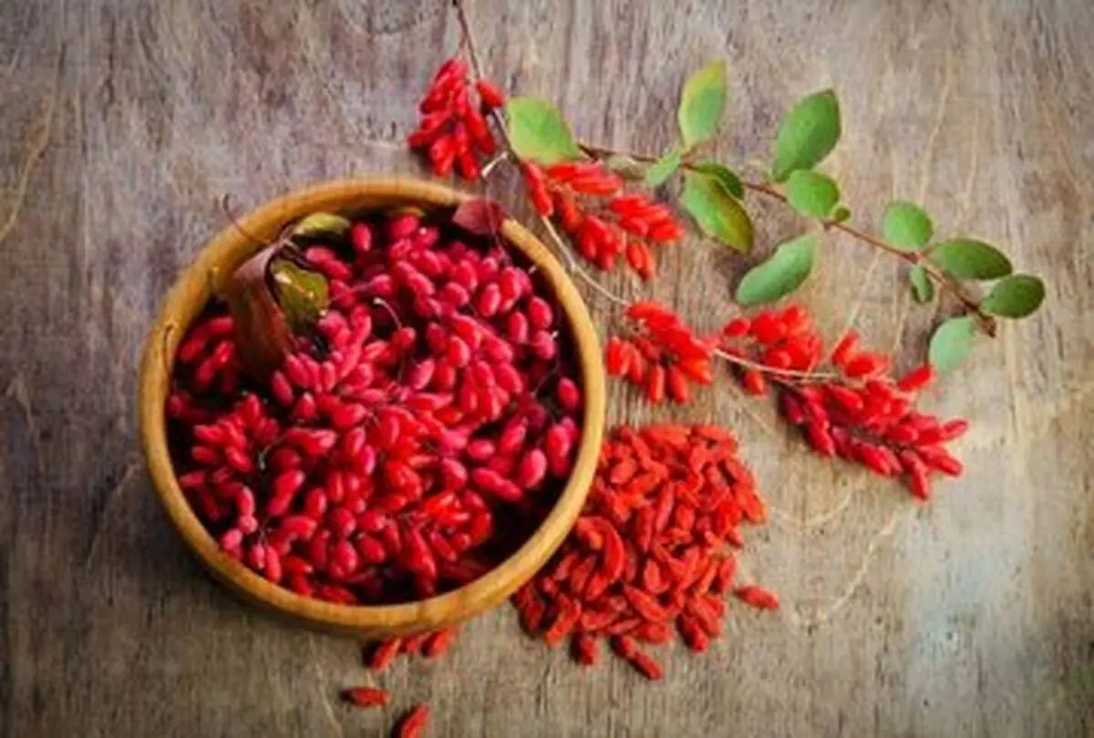 خواص شگفت انگیز زرشک را بشناسید