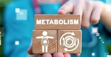 عوامل موثر بر سوخت و ساز بدن