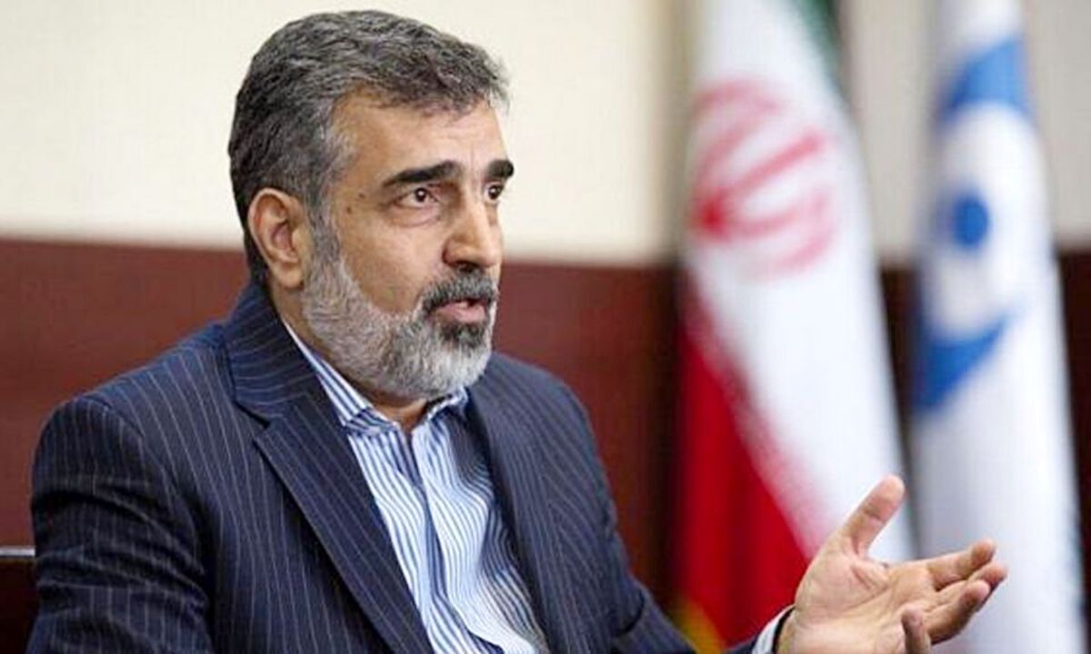 در خصوص رفتار نامناسب آژانس با ایران بارها تذکر دادهایم