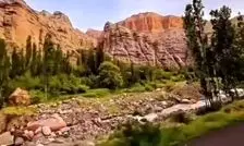 الموت ثبت جهانی شد 