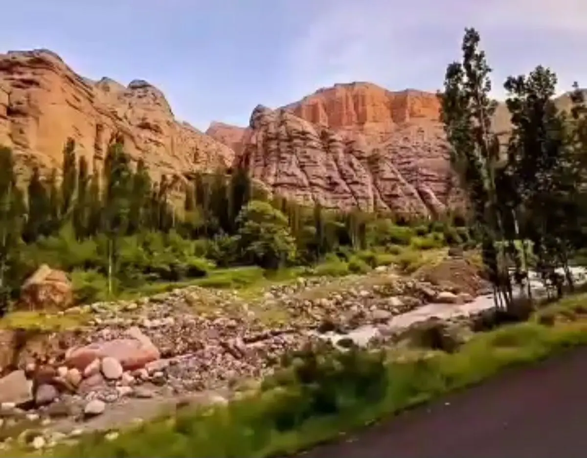 الموت ثبت جهانی شد 