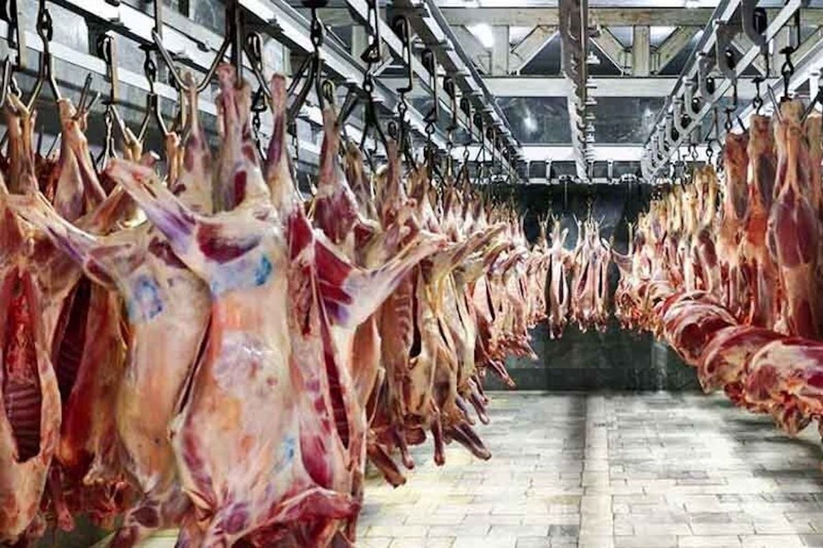 عرضه گوشت وارداتی با قیمت ۲۳۰ تا ۳۷۵ هزار تومان