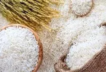 قیمت برنج هندی ۱۲۹ هزار تومان شد