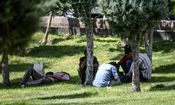 ویدئویی تکان‌دهنده از پاتوق‌ معتادان متجاهر در تهران/ هر گرم شیشه فقط ۲۰۰ هزار تومان