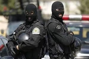 پلیس با انجام معامله صوری، فروشنده مواد را در تله قرار داد/ ویدئو