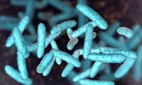 میکروبیوم روده می‌تواند عامل ابتلا به اضطراب اجتماعی باشد

