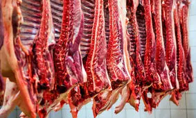 شرایط برای کاهش قیمت گوشت قرمز گوسفندی در اهواز مهیاست

