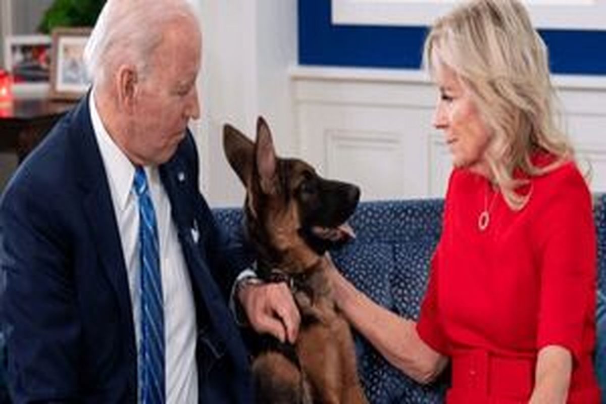 سگ بایدن از کاخ سفید اخراج شد