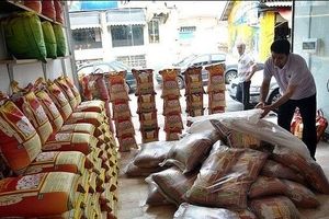 دوباره قیمت برنج افزایش یافت؟