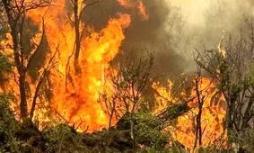 آتش‌سوزی گسترده در پارک ملی دز خوزستان/ ویدئو