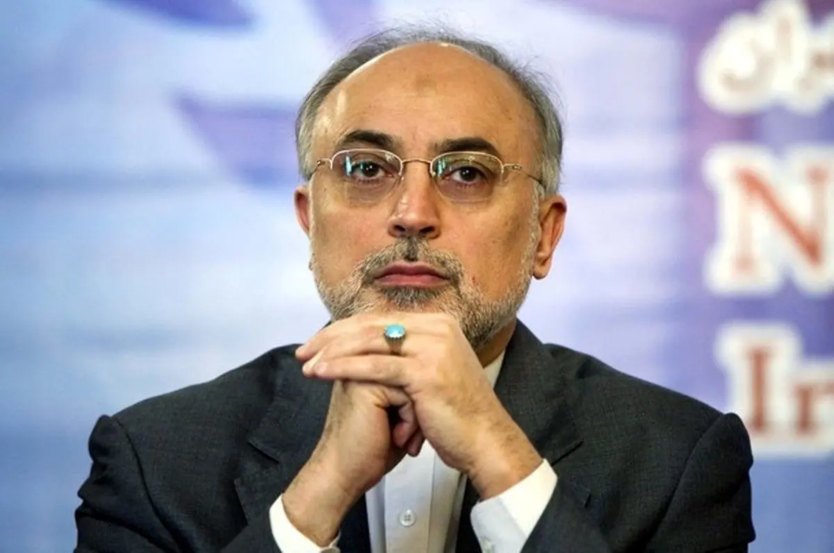 علی اکبر صالحی:آقای فواد حسین فراموش کرده که اگر نبود جانفشانی‌های مردم ایران و در راس آنها سردار سلیمانی در جلوگیری از سرازیر شدن داعش به اربیل و کردستان عراق، الان به طور کلی نشانی از آن دیار باقی نمی‌ماند