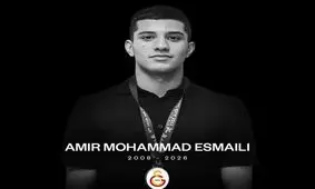 ملی‌پوش جوان واترپلوی ایران درگذشت

