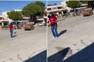  سگ کشی زن جوان با اسلحه جنجالی شد/ ویدئو