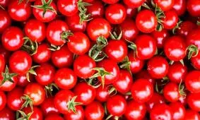 معجزه گوجه فرنگی در ترمیم ریه