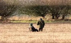 قطری‌ ها برای شکار به بوشهر نیامده بودند