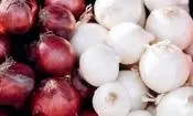 آیا پیاز سفید و قرمز ارزش غذایی یکسانی دارند؟