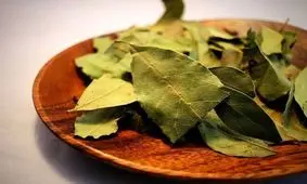 خواص برگ بو برای زیبایی پوست و رشد مو